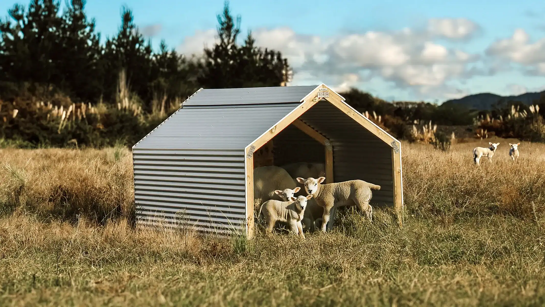 Livestock shelters